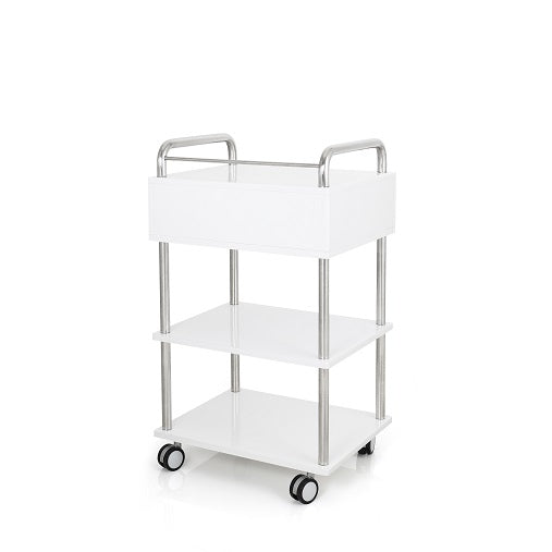 Dongpin Derma Trolley 1 Draw 2 Shelves (DP-6050)
