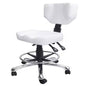 DongPin Derma Chair with Backrest White Colour DP-9942